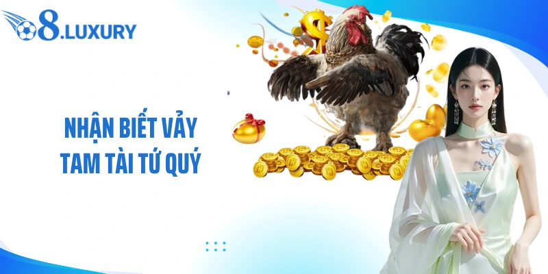 Vảy Tam Tài Tứ Quý - Dấu Hiệu Chiến Kê Tiềm Năng Khi Cá Cược Tại O8 3 Nhận biết vảy tam tài tứ quý